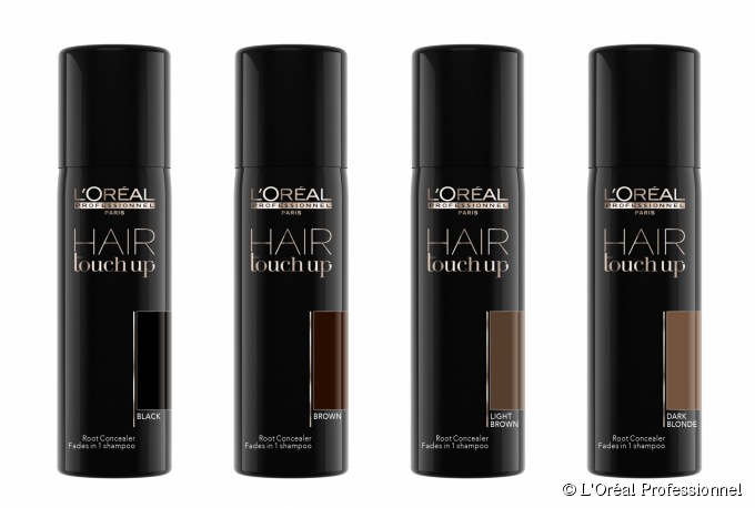 L'Oréal Hair Touch Up