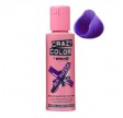 Crazy Color Hot Purple 62